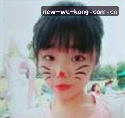赵凯
